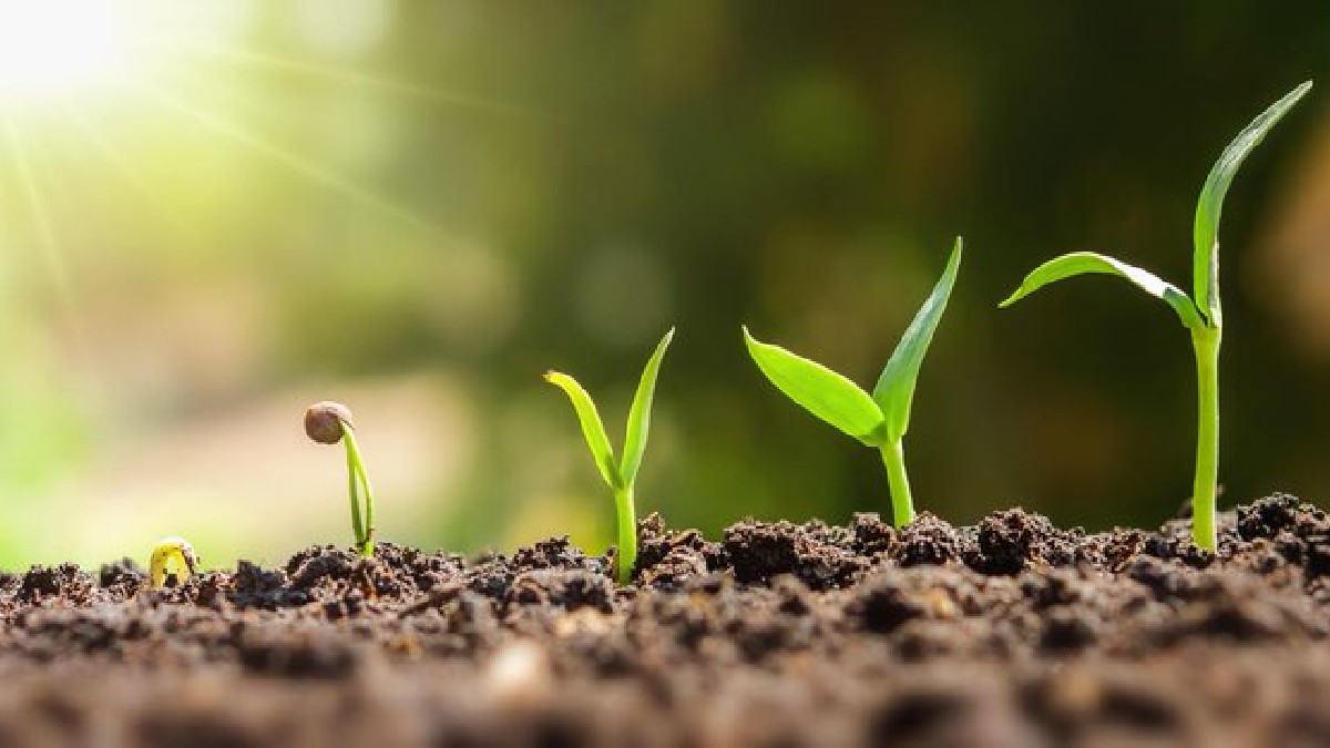 Small business growth planning