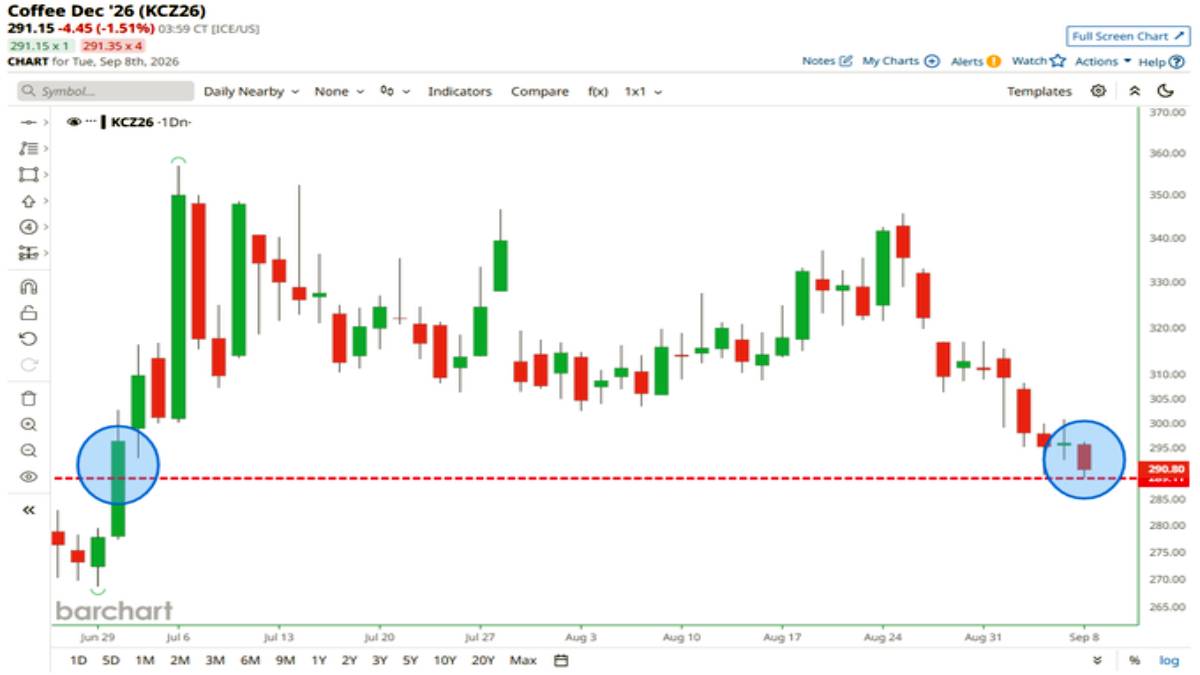 Coffee Prices Hit Lowest Since June Coffee Prices Hit Lowest Since June