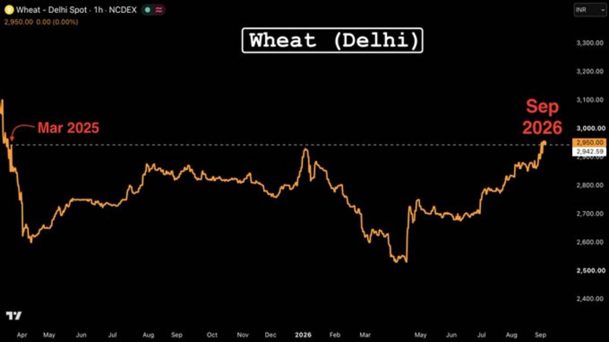 Delhi Wheat Prices Hit 17-Month High | Wheat Market Update